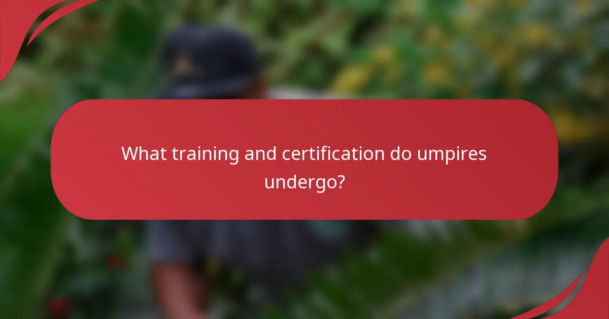 What training and certification do umpires undergo?